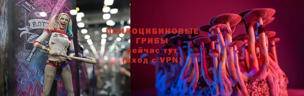гидропоника Аркадак