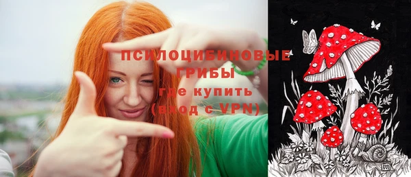 гидропоника Аркадак