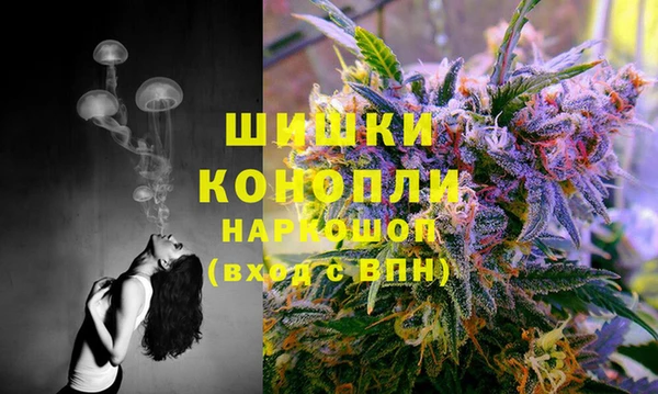 гидропоника Аркадак
